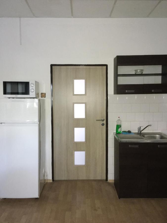 Appartement Ubytovani Fish-Com à Štětí Extérieur photo