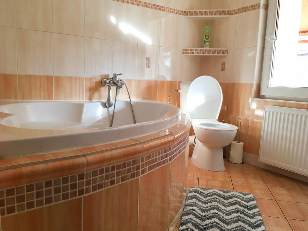 Appartement Ubytovani Fish-Com à Štětí Extérieur photo